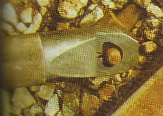 nut splitter in use